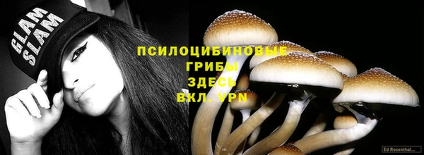 альфа пвп Козловка