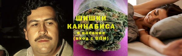 тгк Козельск