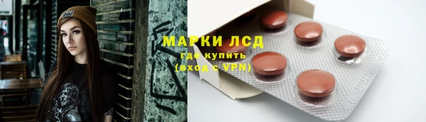 гидра Костерёво