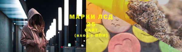 гидра Костерёво