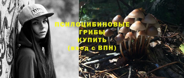 не бодяженный Коряжма