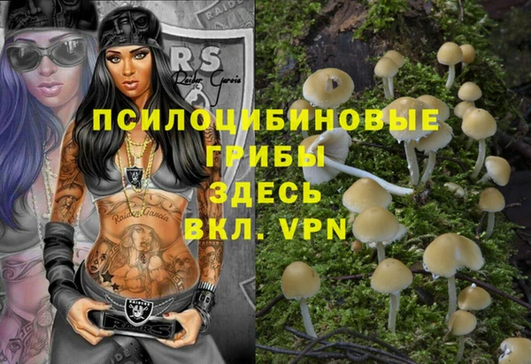 альфа пвп Козловка