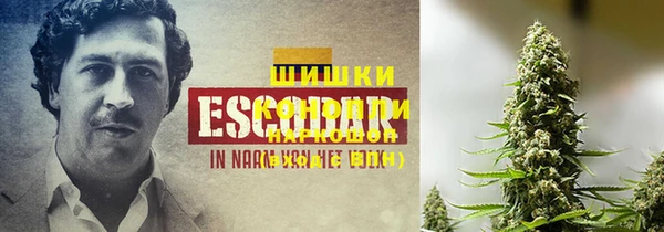 тгк Козельск